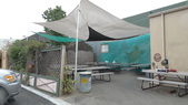 Enlarge photo 59