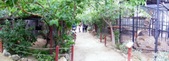Enlarge photo 18