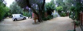 Enlarge photo 40