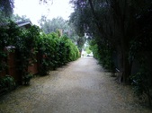 Enlarge photo 41