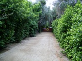 Enlarge photo 42