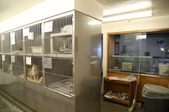 Enlarge photo 46