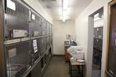 Enlarge photo 47