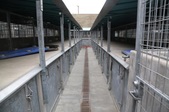 Enlarge photo 82