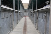 Enlarge photo 83