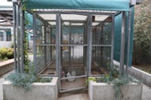 Enlarge photo 90