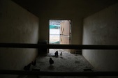 Enlarge photo 105