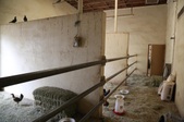 Enlarge photo 106