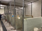 Enlarge photo 32