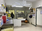 Enlarge photo 46