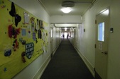 Enlarge photo 88