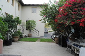 Enlarge photo 67