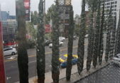Enlarge photo 96