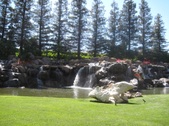 Enlarge photo 60