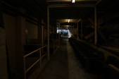 Enlarge photo 122