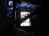 Enlarge photo 53