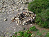 Enlarge photo 19