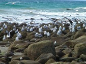 Enlarge photo 28