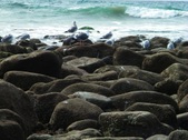 Enlarge photo 29