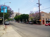 Avocado St. & Hillhurst Ave.