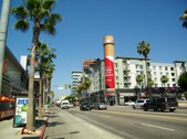 Sunset Blvd. @ Vine Street