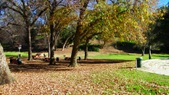 Enlarge photo 32