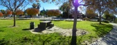 Enlarge photo 17