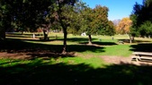 Enlarge photo 35