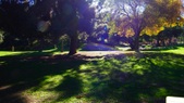 Enlarge photo 37