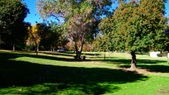 Enlarge photo 38