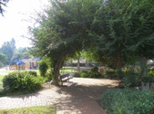 Enlarge photo 8