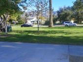 Enlarge photo 18