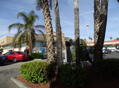 Enlarge photo 49