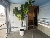 Enlarge photo 17