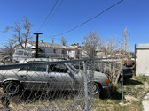 Enlarge photo 45