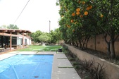 Enlarge photo 42