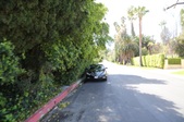 Enlarge photo 77