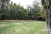 Enlarge photo 45