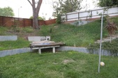 Enlarge photo 40