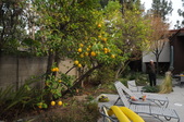 Enlarge photo 48