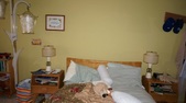 Enlarge photo 47
