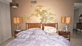 Enlarge photo 62