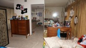 Enlarge photo 70