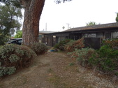 Enlarge photo 27