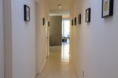 Enlarge photo 41