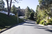 Enlarge photo 81