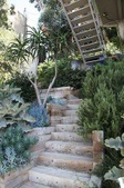 Enlarge photo 84
