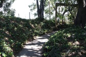 Enlarge photo 66