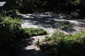 Enlarge photo 67