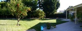 Enlarge photo 42